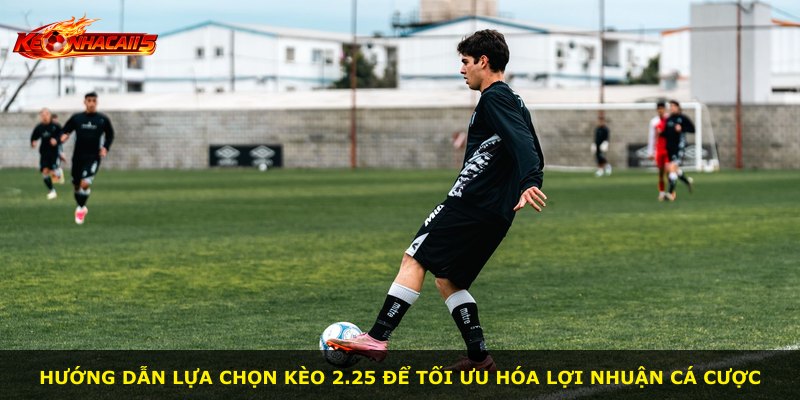 Hướng dẫn lựa chọn kèo 2.25 để tối ưu hóa lợi nhuận cá cược