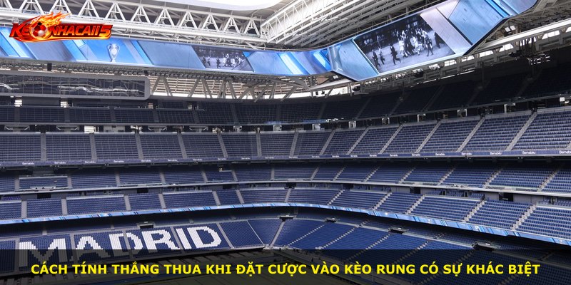 Cách tính thắng thua khi đặt cược vào kèo rung có sự khác biệt
