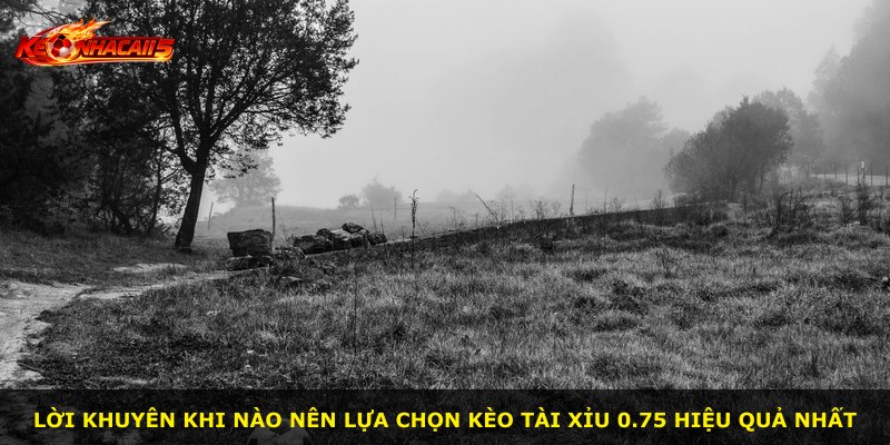 Lời khuyên khi nào nên lựa chọn kèo tài xỉu 0.75 hiệu quả nhất