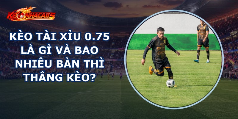 Kèo Tài Xỉu 0.75 Là Gì
