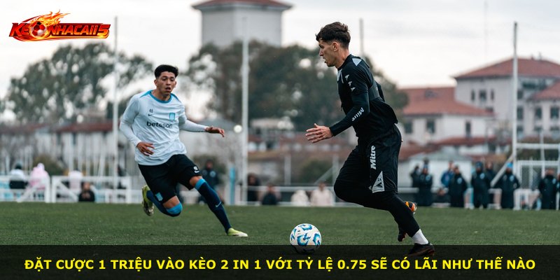 Đặt cược 1 triệu vào kèo 2 In 1 với tỷ lệ 0.75 sẽ có lãi như thế nào
